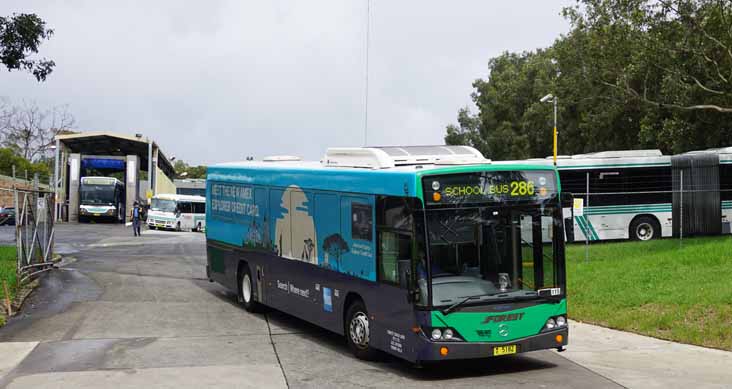 Forest Coach Lines Mercedes O500LE Custom CB60 Evo II American Express 5182